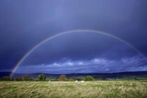 Rainbow - over pasture land, Simonside