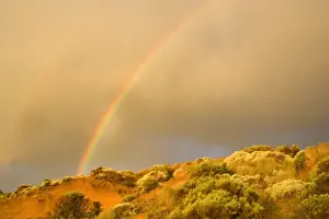 Storms Prints: Rainbow - a rainbow has formed during a rain storm brewing over the coastline around the Twelve Apostles - Port