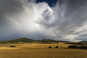 Rainbow - rest of and arable land after summer storm, North Hessen, Germany Date: 11-Feb-19