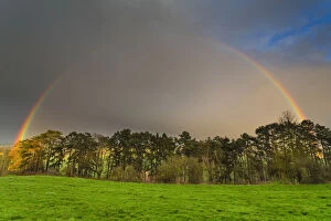 Images Dated 11th February 2019: Rainbow - over woodland, North Hessen, Germany Date: 11-Feb-19