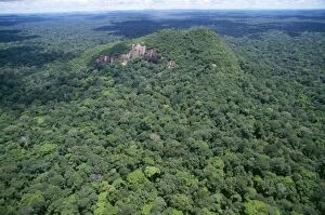Images Dated 28th June 2006: Rainforest - aerial view of Amazon canopy French Guiana