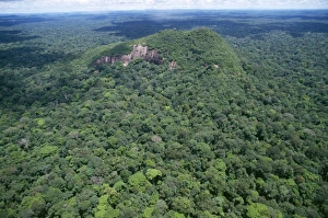 Images Dated 28th June 2006: Rainforest - aerial view of Amazon canopy French Guiana