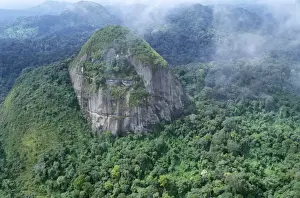 Rainforest - aerial view of Amazon canopy French Guiana