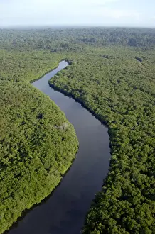 Meandering Prints: Rainforest and a river near Sekong Bay