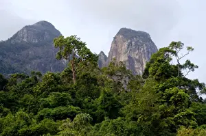 Rainforest on the slopes of Twin Peaks - Bukit Batu Sirau and Bukit Semukut peaks, of volcanic Tioman Island, 30 km east off peninsula Malaysia in South China Sea; evening in June. Ma39. 3622