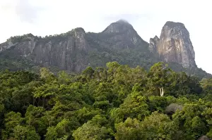 Rainforest on the slopes of Twin Peaks - Bukit Batu Sirau and Bukit Semukut peaks, of volcanic Tioman Island, 30 km east off peninsula Malaysia in South China Sea; evening in June. Ma39. 3615