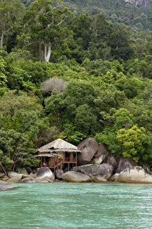 Tourism Collection: Rainforest and a wooden cabin of the 'Bagus Place Retreat' - a small private resort