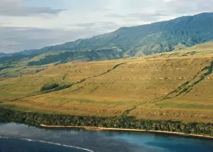 Limestone Prints: Raised beaches - wave-cut platform - Staircase-like raised coral terraces along the Finschhafen coast (=The Rai Coast)