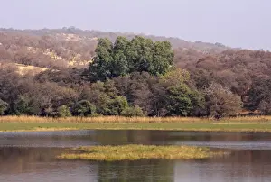 Ranthambhor National Park, India