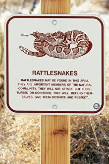 Rattlesnakes Collection: Rattlesnake Warning Sign