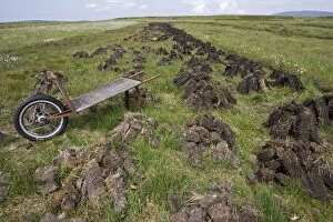 Images Dated 11th June 2007: Recently dug peat blocks drying Isle of Islay Scotland UK