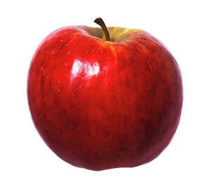 Apple Collection: Red apple