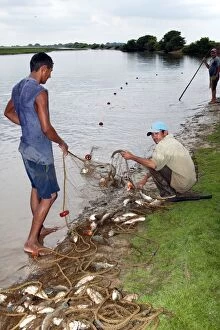 Piranha Gallery: Red-bellied Piranha - men fishing on riverbank