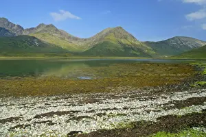 Skye Prints: Red Cuillins and Loch Slapin seen from beach near Torrin at low tide Isle of Skye