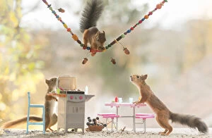 Breakfast Gallery: Red Squirrel in a barbecue scene     Date: 05-10-2021