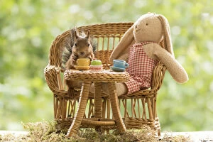 Images Dated 8th August 2021: Red Squirrel and doll with a table and cups Date: 06-08-2021