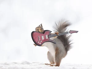 Show Collection: red squirrel holding an electric guitar