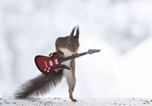 red squirrel is holding a guitar Date: 05-02-2021