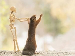 Bone Gallery: Red Squirrel is holding a skeleton Date: 01-10-2021
