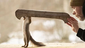 Trip Gallery: Red Squirrel and man holding an canoe Date: 27-02-2021