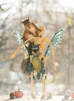 red squirrel is sitting on a dragon with a skeleton Date: 23-10-2021
