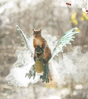 red squirrel is sitting on a dragon in smoke Date: 23-10-2021