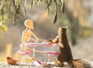 Breakfast Gallery: Red Squirrel and skeleton in a barbecue scene     Date: 07-10-2021