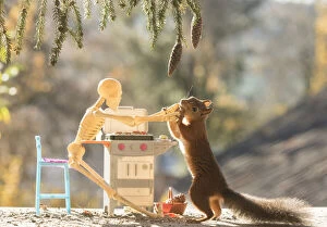 Images Dated 10th October 2021: Red Squirrel and skeleton in a barbecue scene Date: 07-10-2021