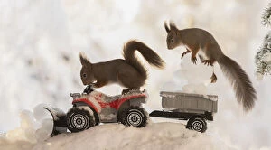 Images Dated 27th February 2021: Red Squirrel are standing on a Quadbike with ice balls Date: 27-01-2021