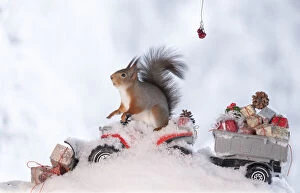 Gift Collection: red squirrel standing on a Quadbike with presents