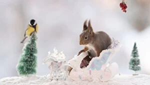 Red squirrel is standing on a sledge with reindeer and great tit Date: 05-01-2021