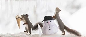 Red Squirrels playing Gallery: Red squirrel is standing with a snowman the other has a icecream Date: 17-02-2021