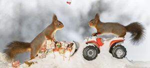 Gift Collection: red squirrel standing on a snowplough with gifts