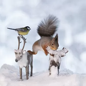 Images Dated 24th February 2021: Red squirrel and titmouse are standing on a moose and reindeer Date: 13-01-2021