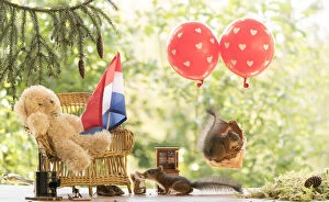 Red Squirrels in a balloon and with a bear on a bench Date: 05-09-2021