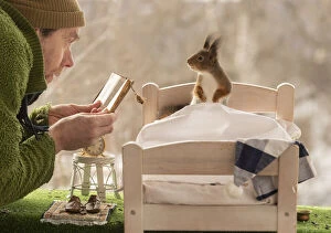 Images Dated 2nd April 2021: Red Squirrels on a bed man holding a book