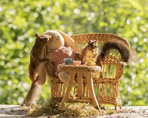 Breakfast Gallery: Red Squirrels and doll with a table and cups     Date: 06-08-2021