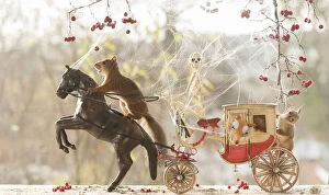 Red Squirrels with horse, skeleton and coach Date: 16-10-2021