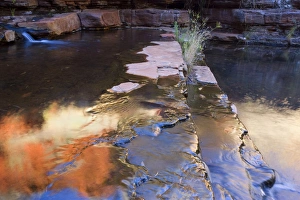 Reflections - a river cascades down Weano Gorge. The with sunlight ablaze red cliffs reflect in the water and give it an orange to bronze colour