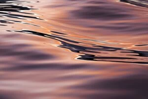 Reflections on the Sea - at sunset