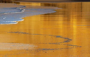 Sand Gallery: Reflective wet sand at sunrise, Cape Kiwanda in