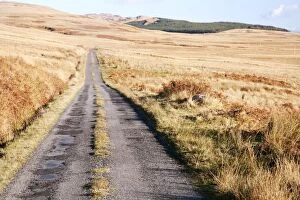 Images Dated 10th November 2010: Remote single track road