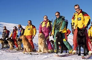 Rescue Dog - avalanche training