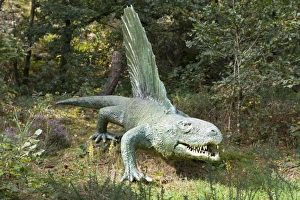 Images Dated 24th July 2007: Restoration of lifesize Dimetrodon an extinct predatory synapsid pelycosaur reptile from