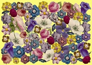 Backgrounds Gallery: Retro Floral Collage
