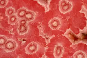Rhodochrosite - Argentina