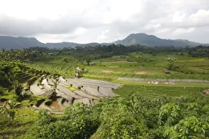 Rice fields / paddies / terraces near Sidemen in Bali - Indonesia