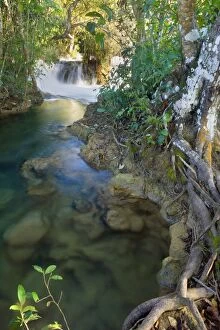 Images Dated 25th July 2010: Rio Formoso waterfall - crystal clear Formoso River