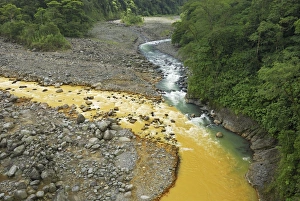 Images Dated 20th March 2006: Rio Sucio converges with Rio Honduras Braulio Carillo N.P. Costa Rica