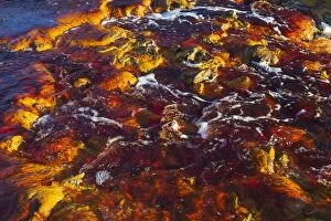 Backgrounds Gallery: Detail of the Rio Tinto   Red river   with its deep redd